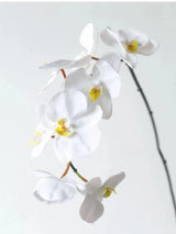 Premium Real Touch Phalaenopsis-Orchidee in Weiß – 91 cm