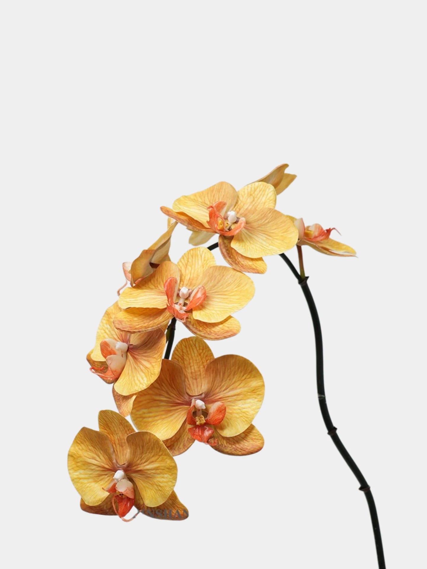 Premium Real Touch Phalaenopsis Orchidee in Gelb – 91 cm