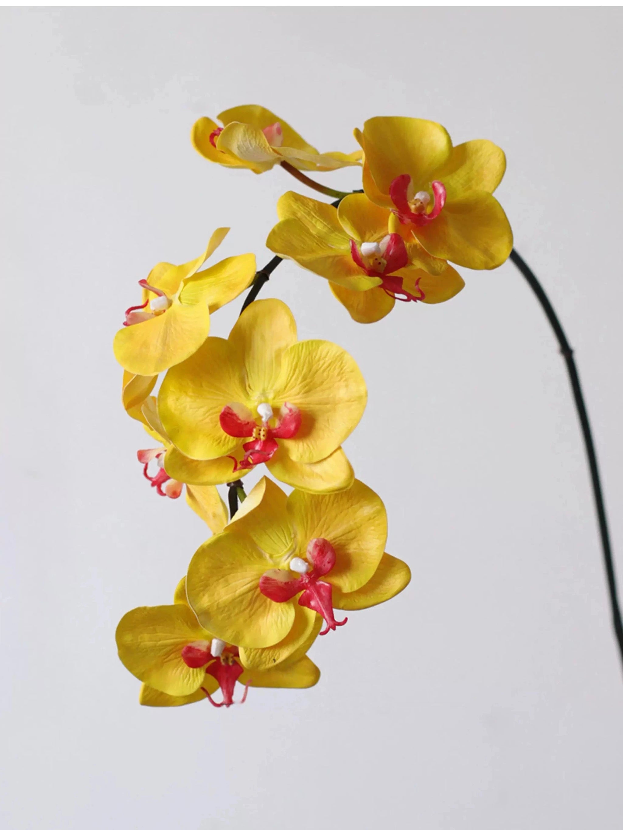 Premium Real Touch Phalaenopsis Orchidee in Gelb – 91 cm