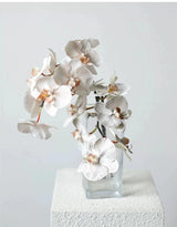Premium Real Touch Phalaenopsis Orchid in Nude– 36"