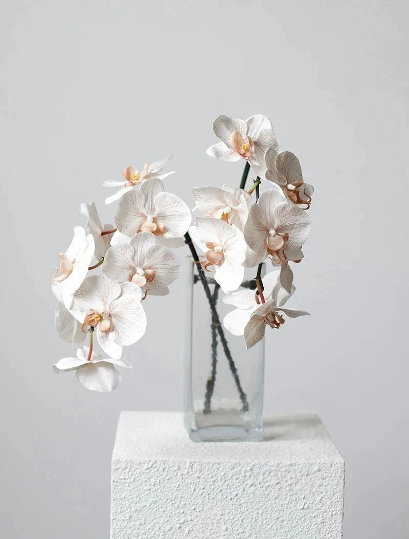 Premium Real Touch Phalaenopsis Orchid in Nude– 36"