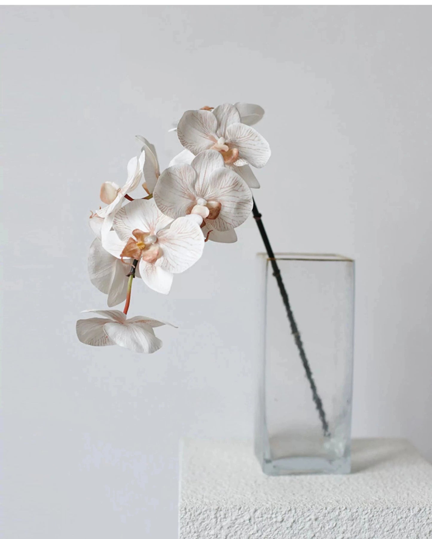 Premium Real Touch Phalaenopsis Orchid in Nude– 36"