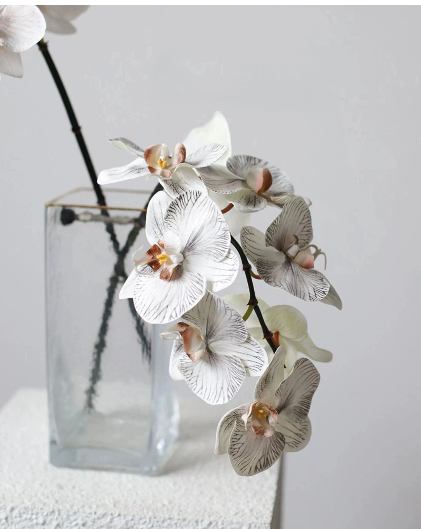 Premium Real Touch Phalaenopsis Orchid in Nude– 36"