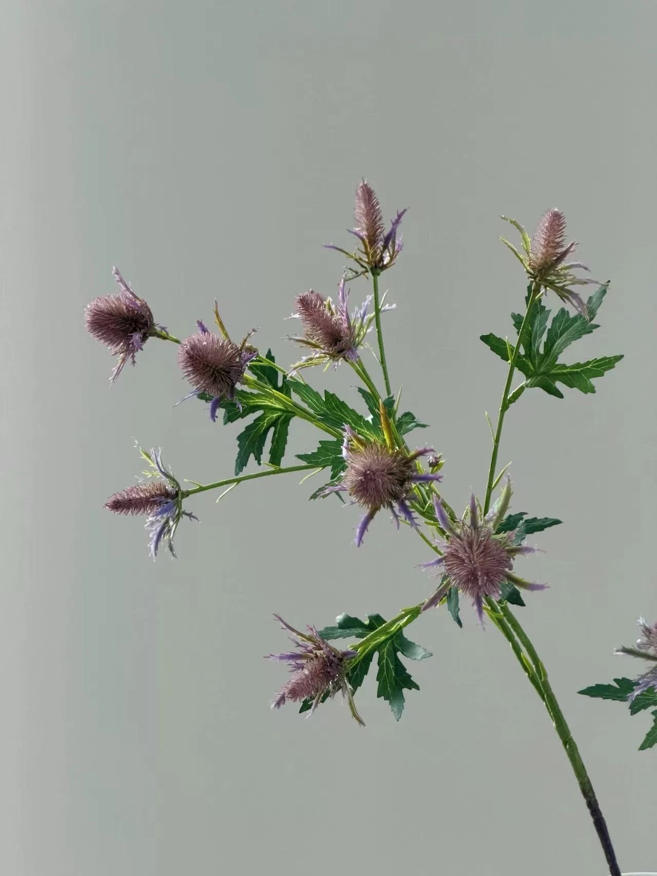Purple Artificial Eryngium Sea Holly Stem – 68cm