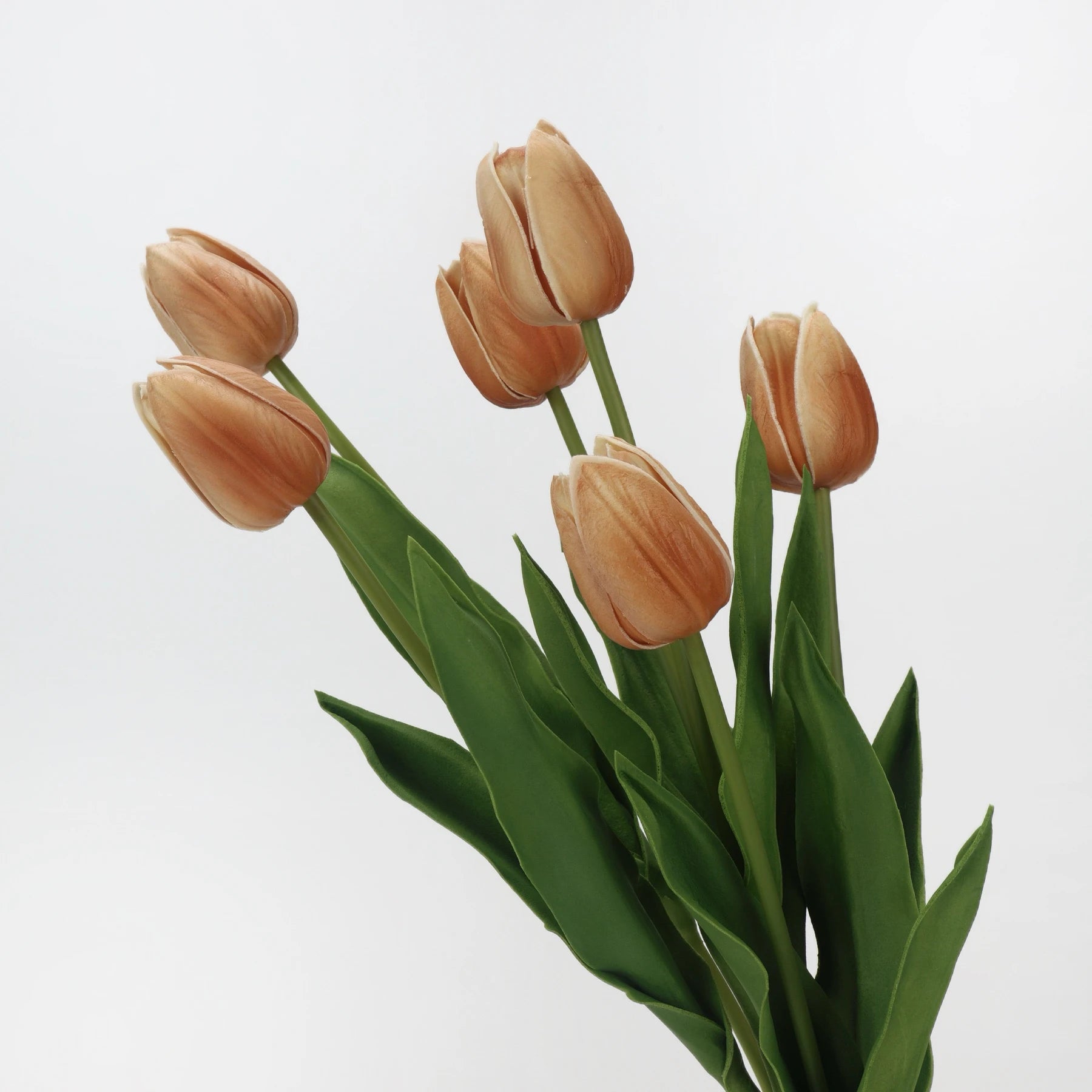 Real-Touch Tulip Stem– 23"