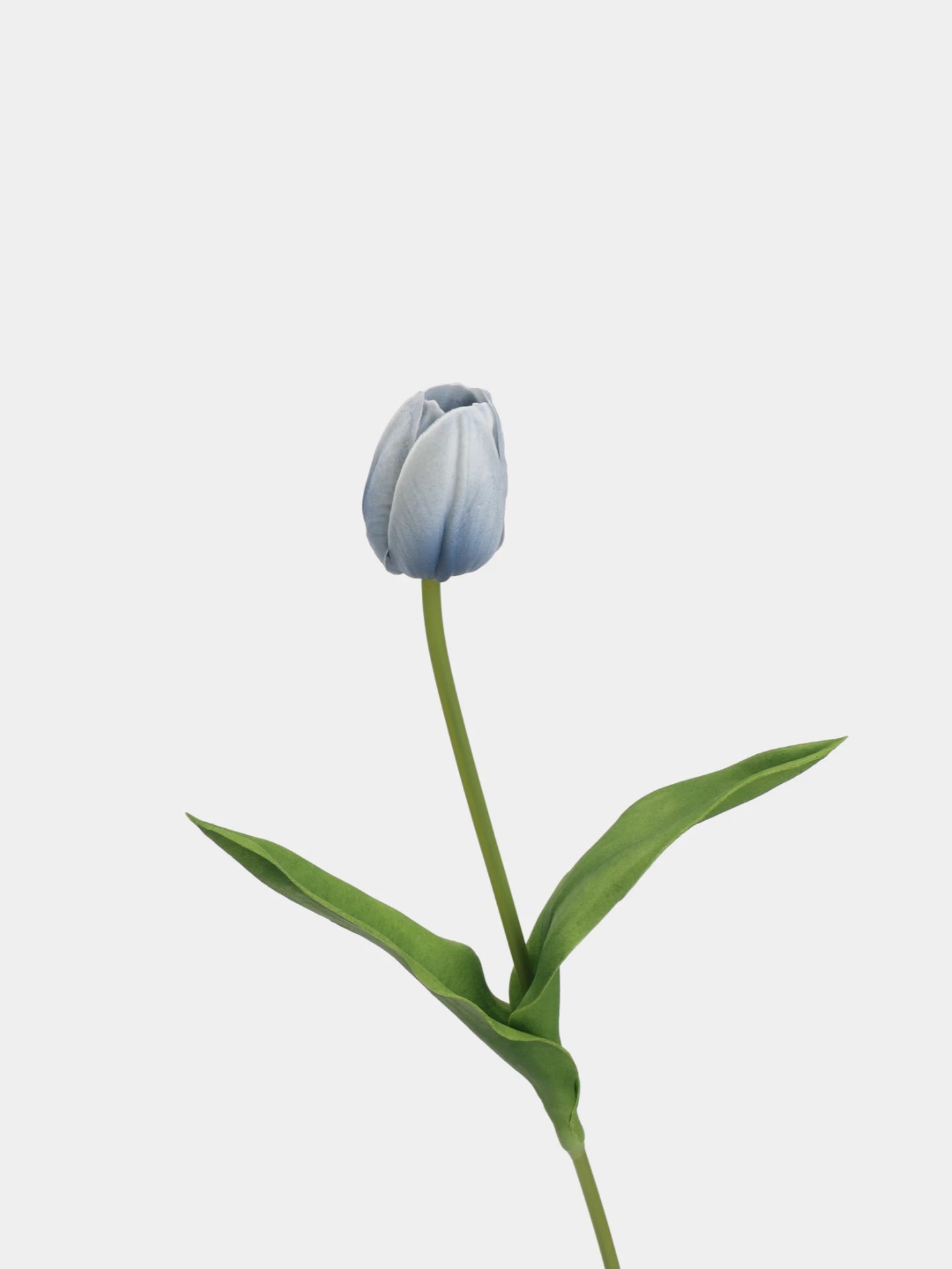Real-Touch Tulip Stem– 23"