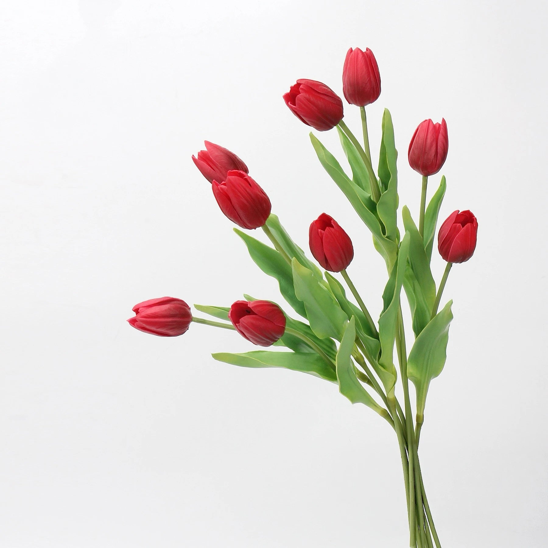 Real-Touch Tulip Stem– 23"