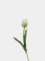 Real-Touch Tulip Stem– 23"