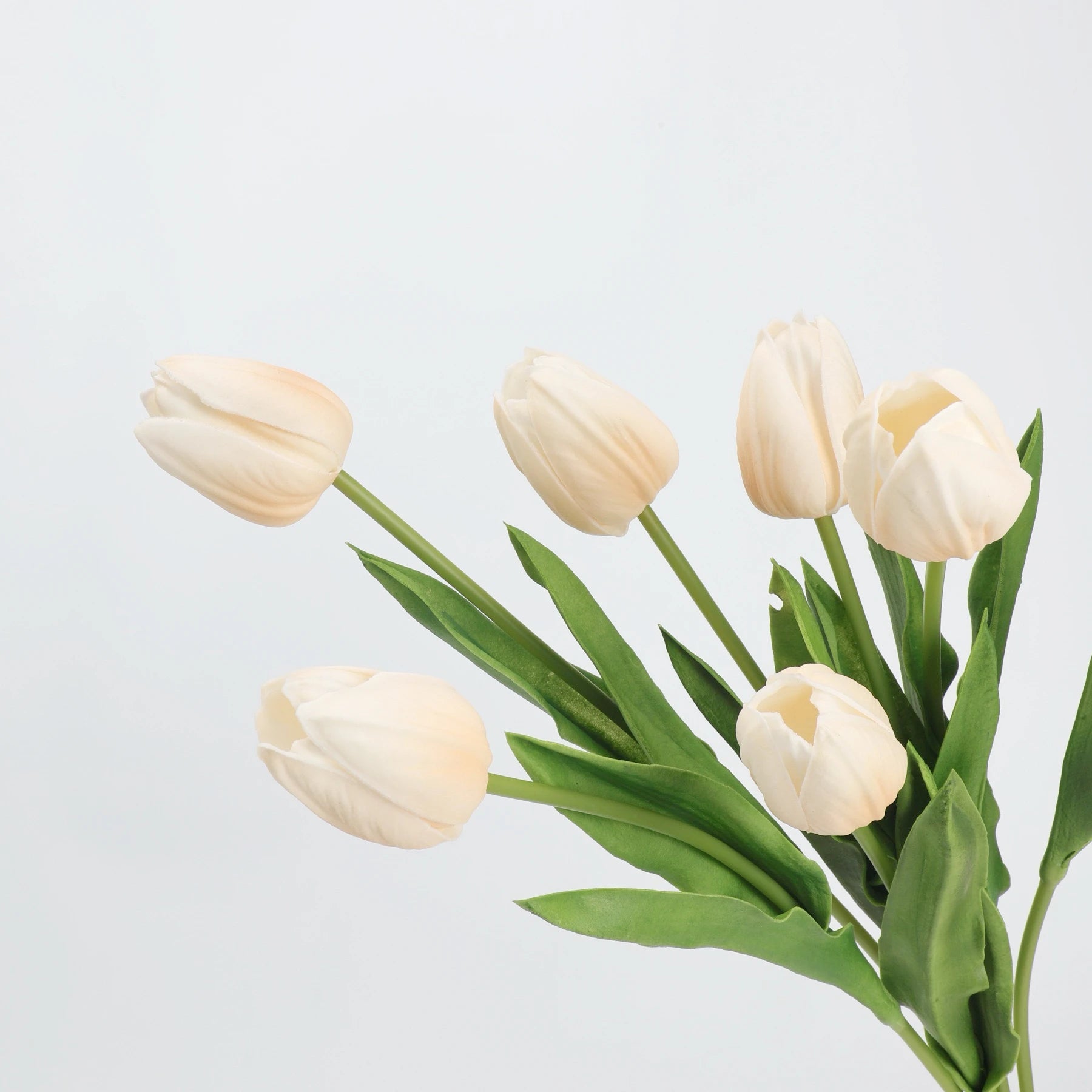 Real-Touch Tulip Stem– 23"