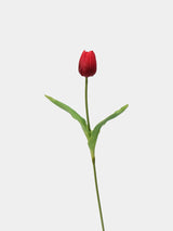 Real-Touch Tulip Stem– 23"