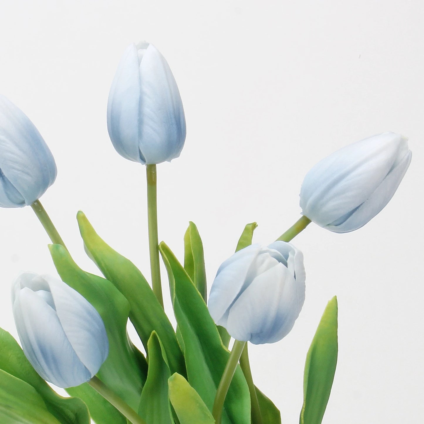 Real-Touch Tulip Stem– 23"