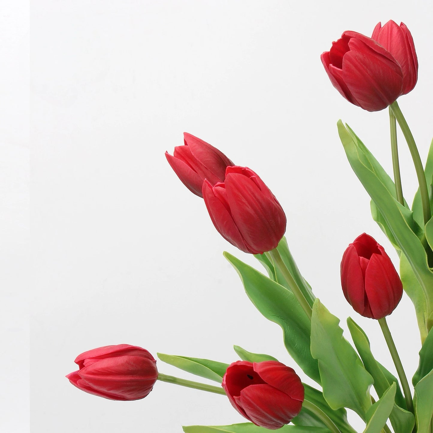 Real-Touch Tulip Stem– 23"