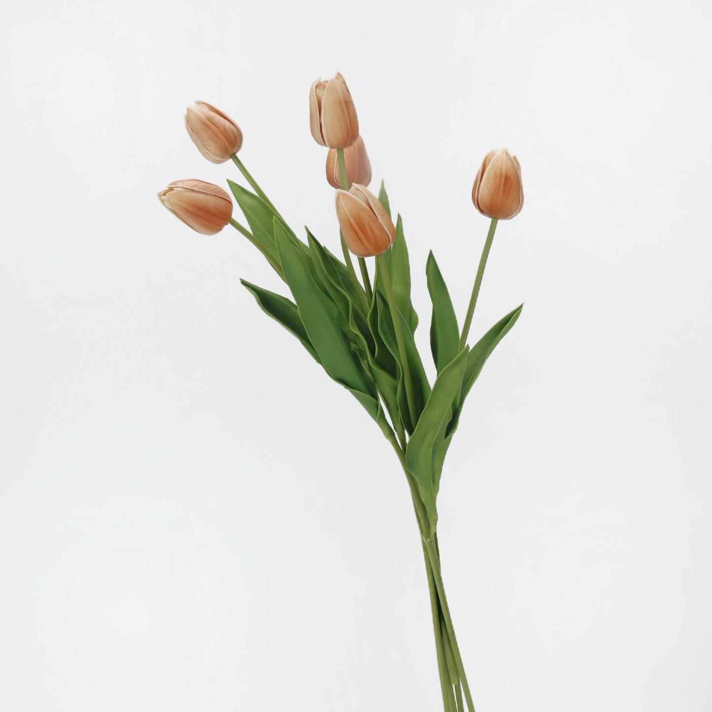 Real-Touch Tulip Stem– 23"