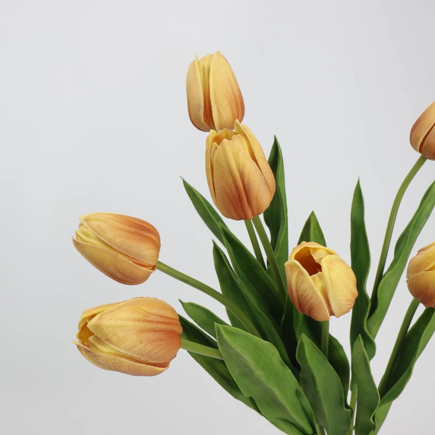 Real-Touch Tulip Stem– 23"