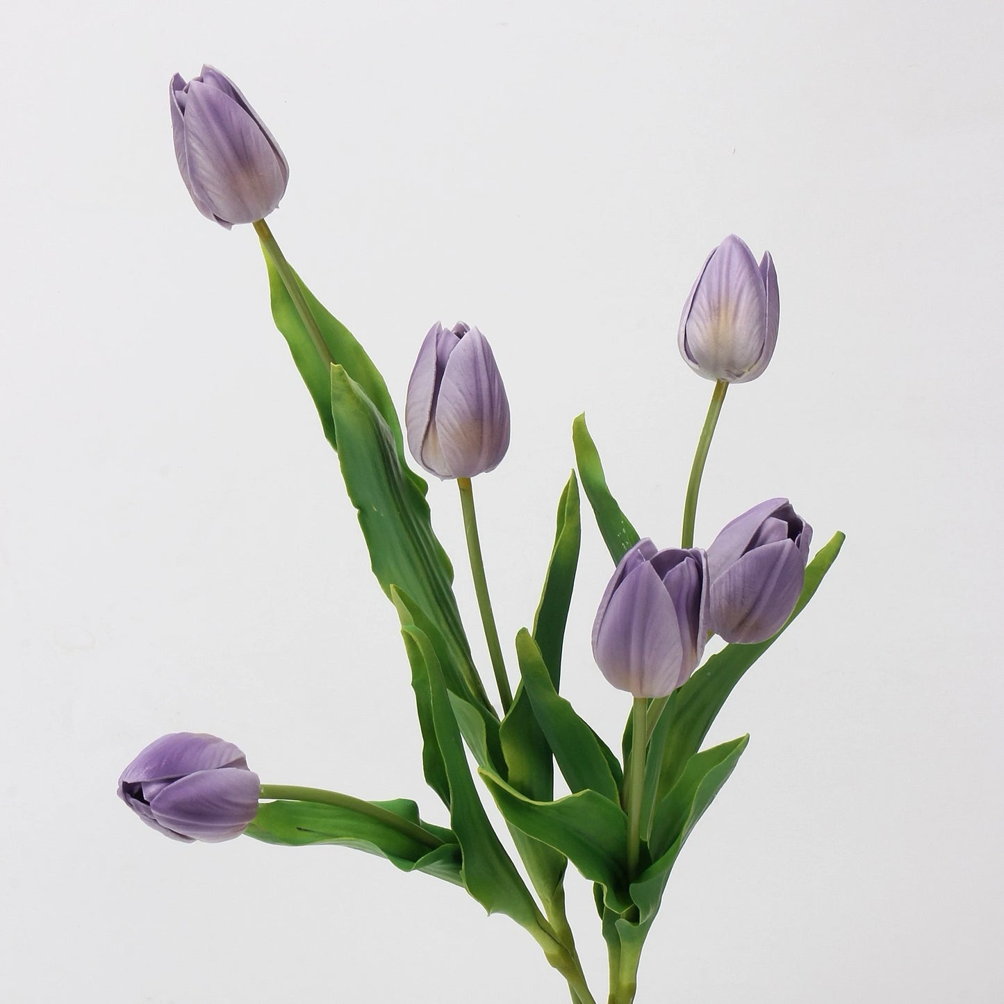 Real-Touch Tulip Stem– 23"