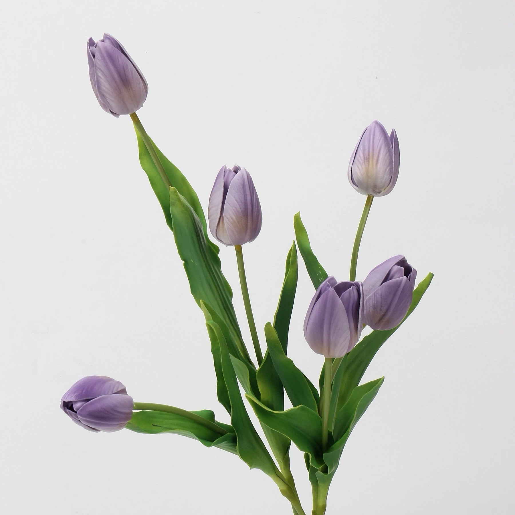 Real-Touch Tulip Stem– 23"