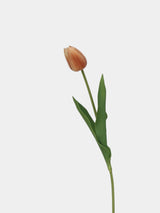 Real-Touch Tulip Stem– 23"