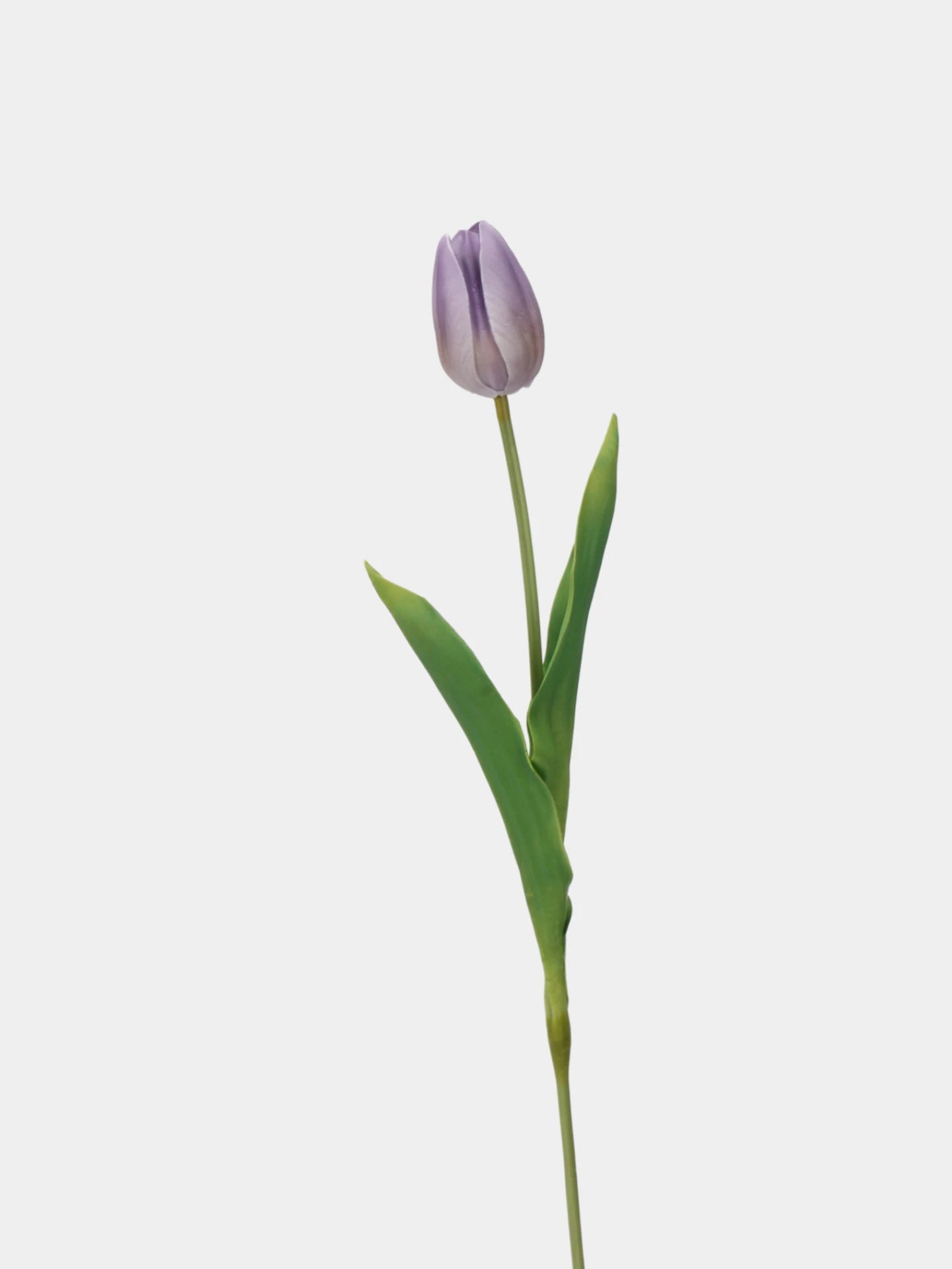 Real-Touch Tulip Stem– 23"