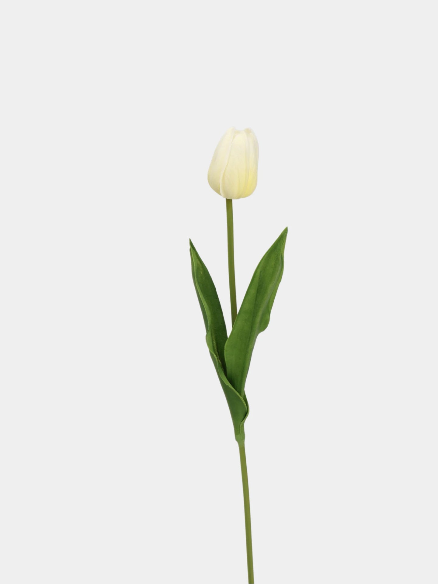 Real-Touch Tulip Stem– 23"