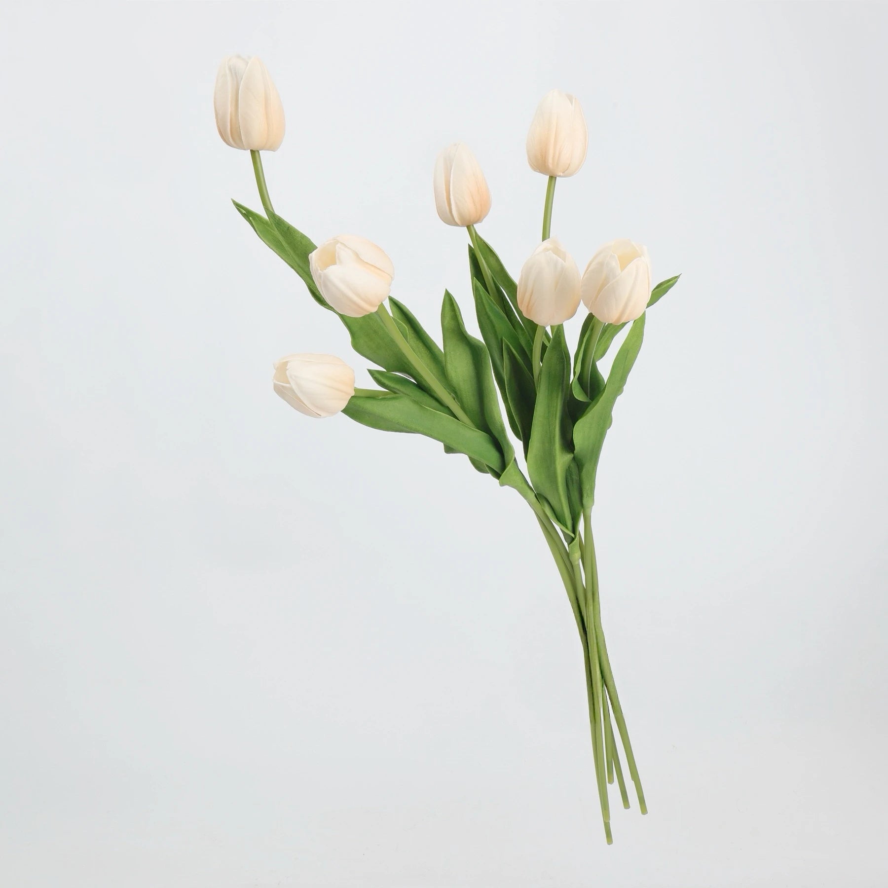 Real-Touch Tulip Stem– 23"