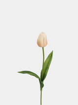 Real-Touch Tulip Stem– 23"