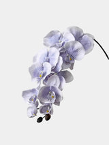 Real Touch 10-Head Phalaenopsis Orchid Stem – 37"/95cm