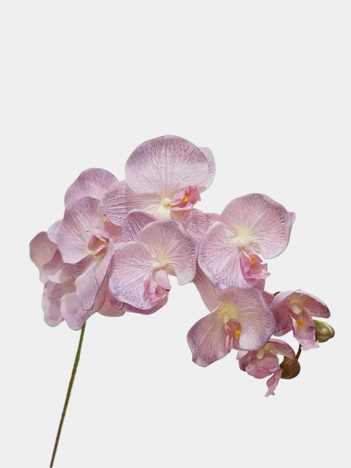 Real Touch 10-Head Phalaenopsis Orchid Stem – 37"/95cm