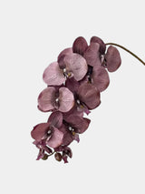 Real Touch 10-Head Phalaenopsis Orchid Stem – 37"/95cm
