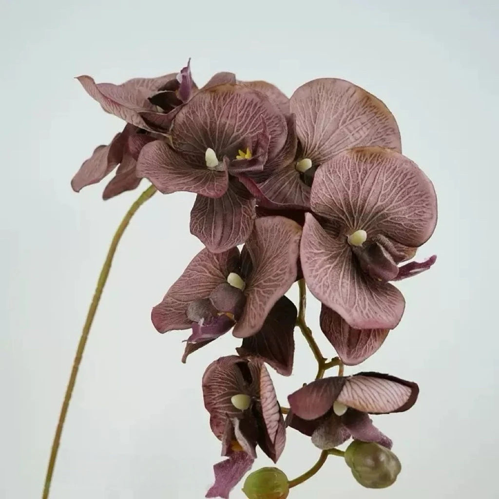 Real Touch 10-Head Phalaenopsis Orchid Stem – 37"/95cm