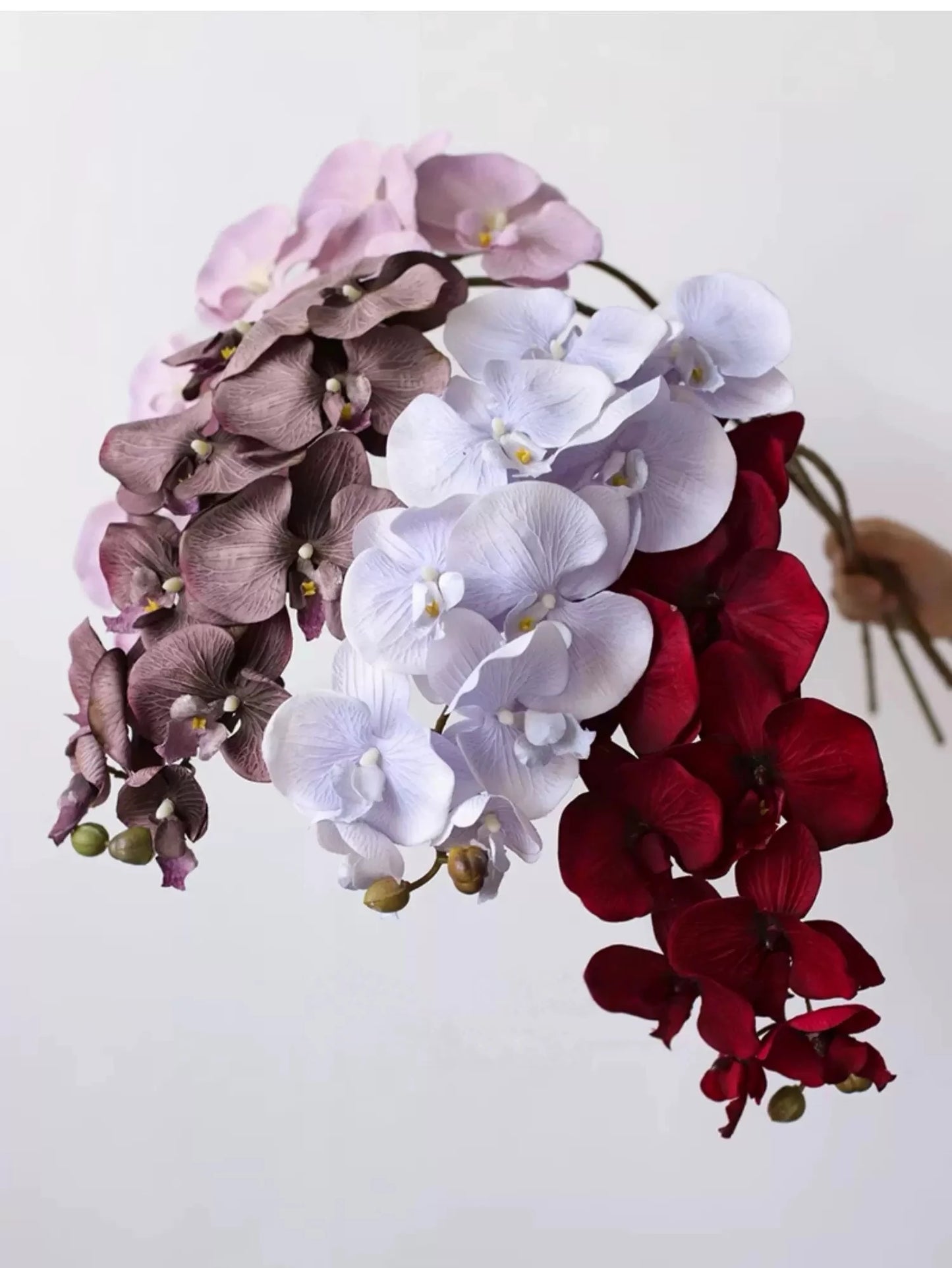 Real Touch 10-Head Phalaenopsis Orchid Stem – 37"/95cm