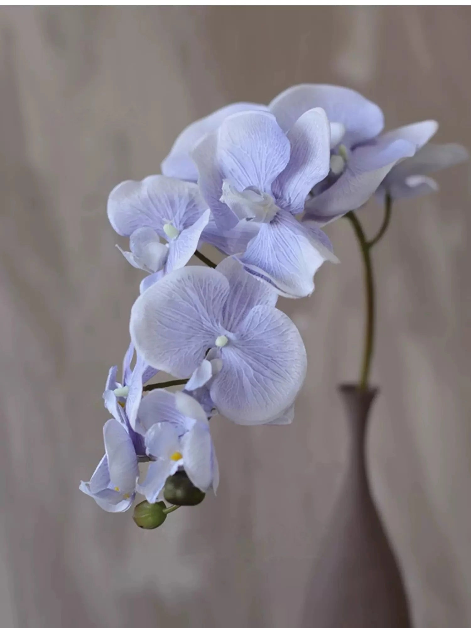 Real Touch 10-Head Phalaenopsis Orchid Stem – 37"/95cm