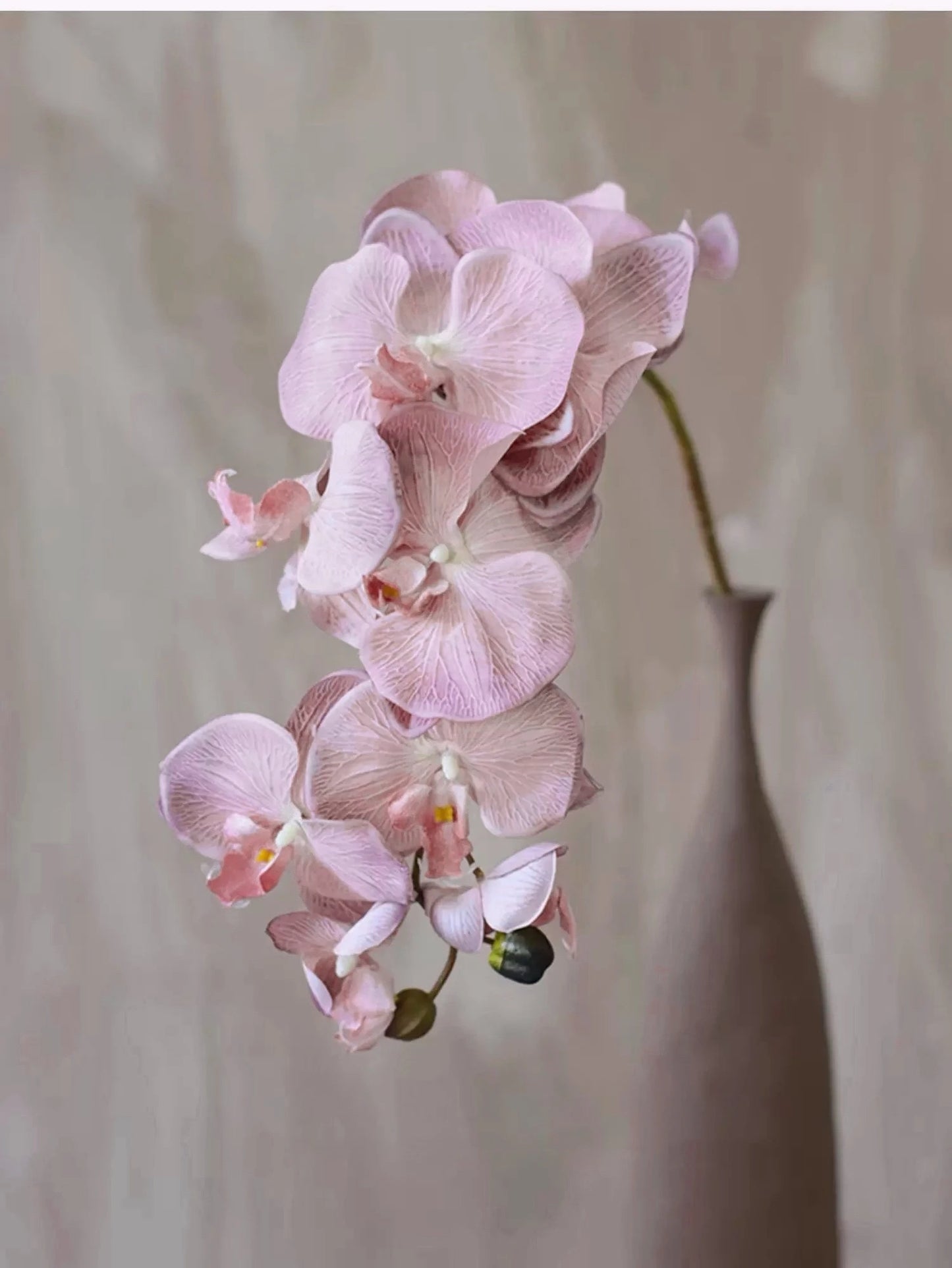 Real Touch 10-Head Phalaenopsis Orchid Stem – 37"/95cm