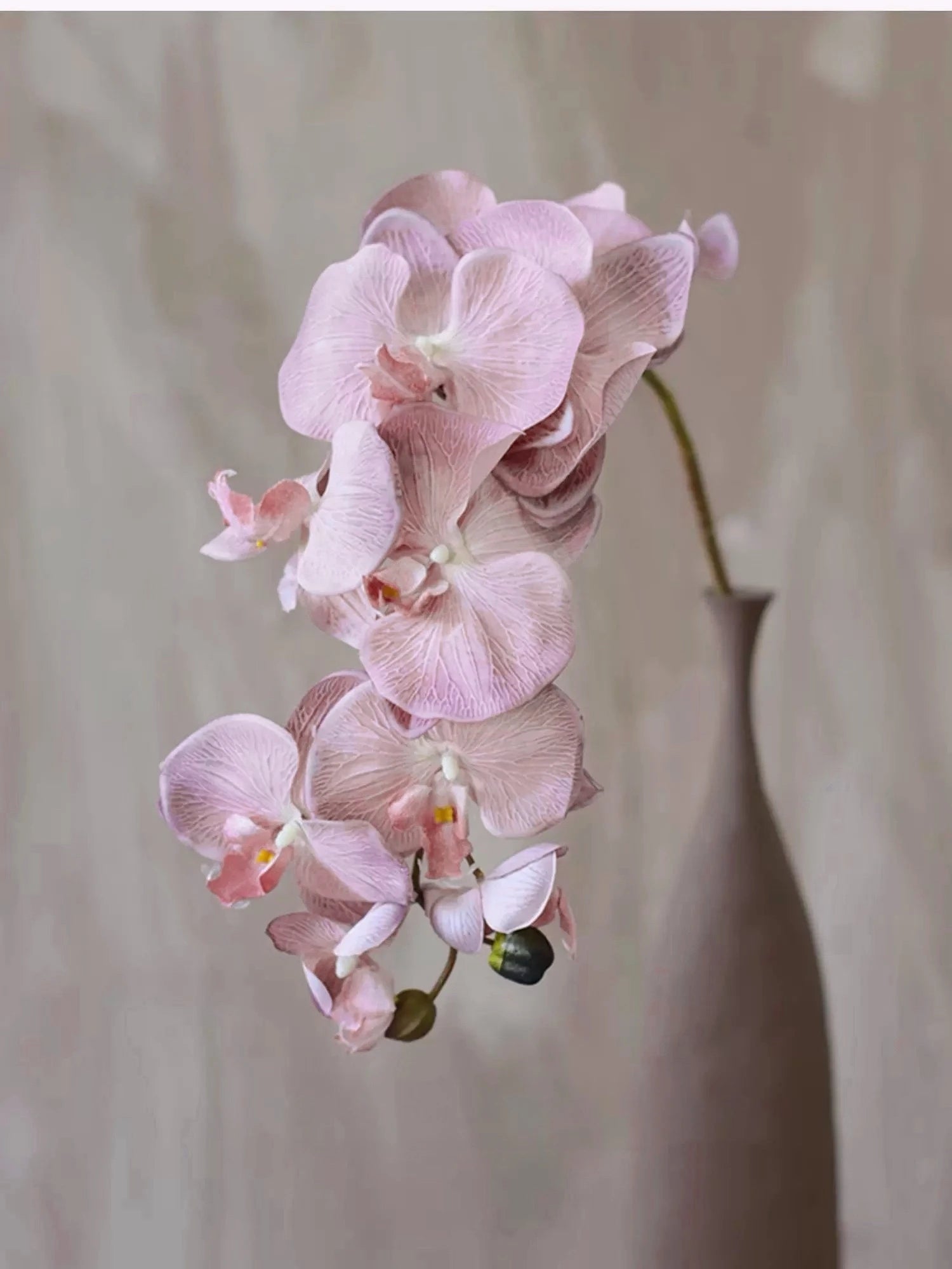 Real Touch 10-Head Phalaenopsis Orchid Stem – 37"/95cm