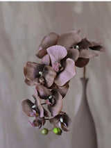 Real Touch 10-Head Phalaenopsis Orchid Stem – 37"/95cm