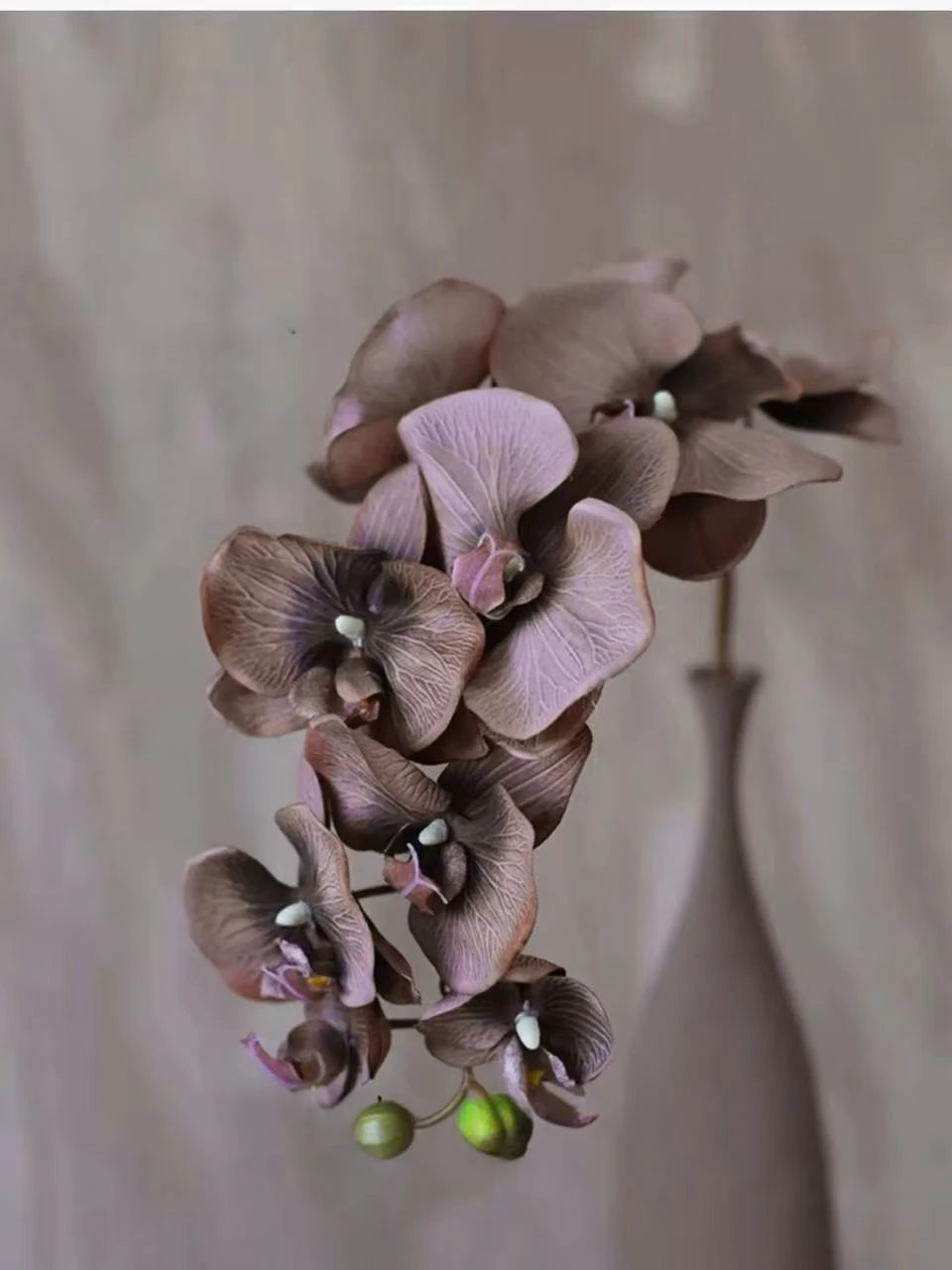 Real Touch 10-Head Phalaenopsis Orchid Stem – 37"/95cm