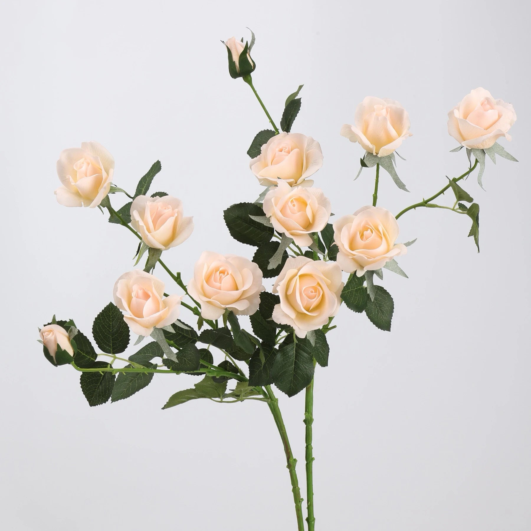 Real Touch 5-Head Rose Spray in Champagne – 30"