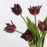 Real Touch Armani Tulip Flower Stem – 17"/43cm