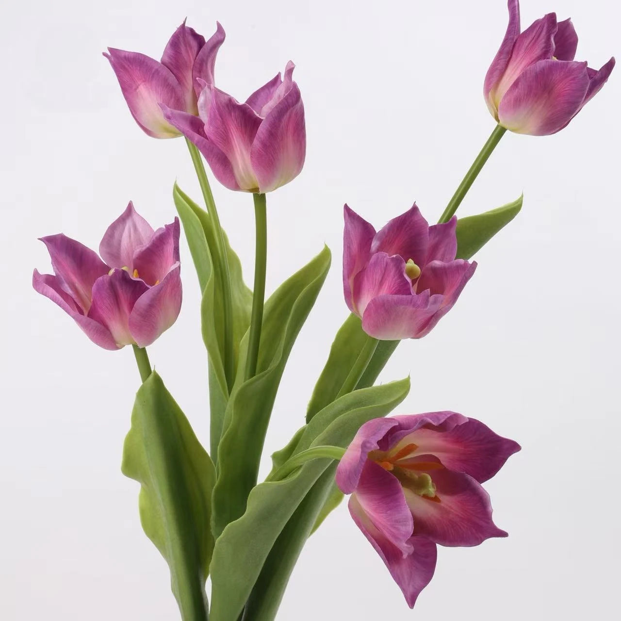 Real Touch Armani Tulip Flower Stem – 17"/43cm
