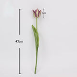 Real Touch Armani Tulip Flower Stem – 17"/43cm