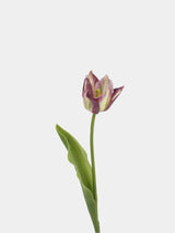 Real Touch Armani Tulip Flower Stem – 17"/43cm