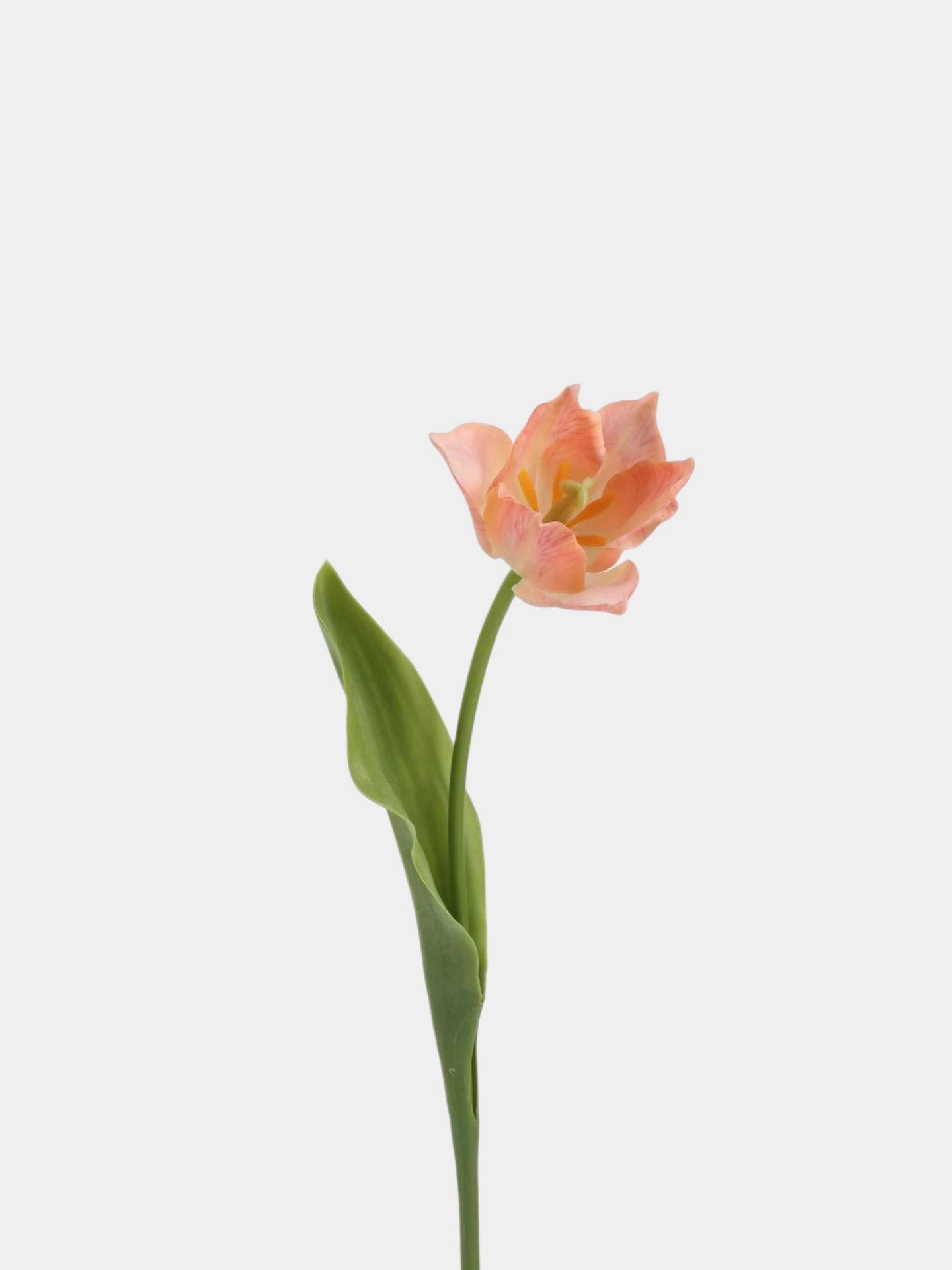Real Touch Armani Tulip Flower Stem – 17"/43cm
