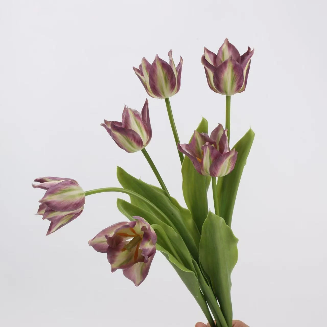 Real Touch Armani Tulip Flower Stem – 17"/43cm