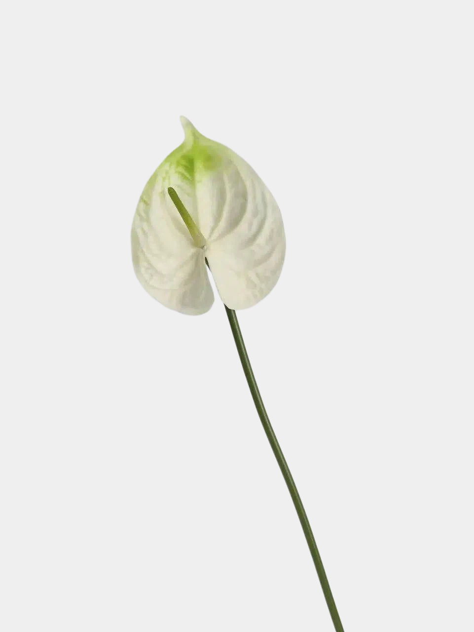 Real Touch Artificial Anthurium Stem – 25.5"