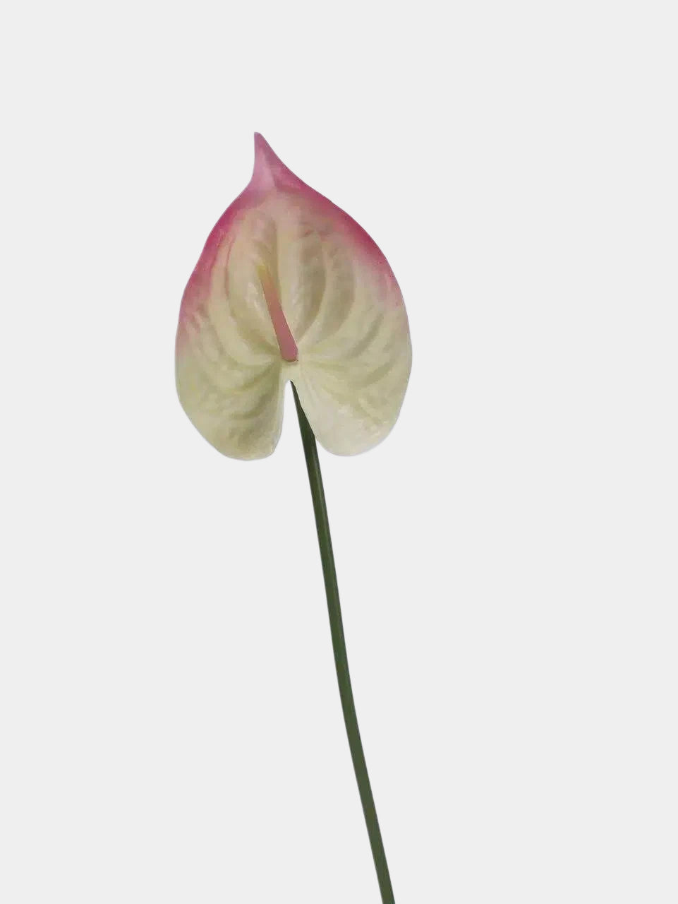 Real Touch Artificial Anthurium Stem – 25.5"