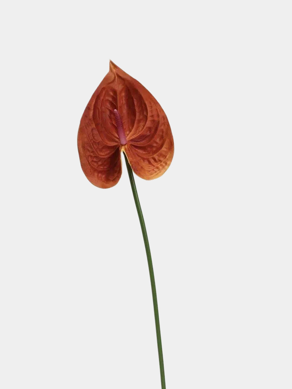 Real Touch Artificial Anthurium Stem – 25.5"