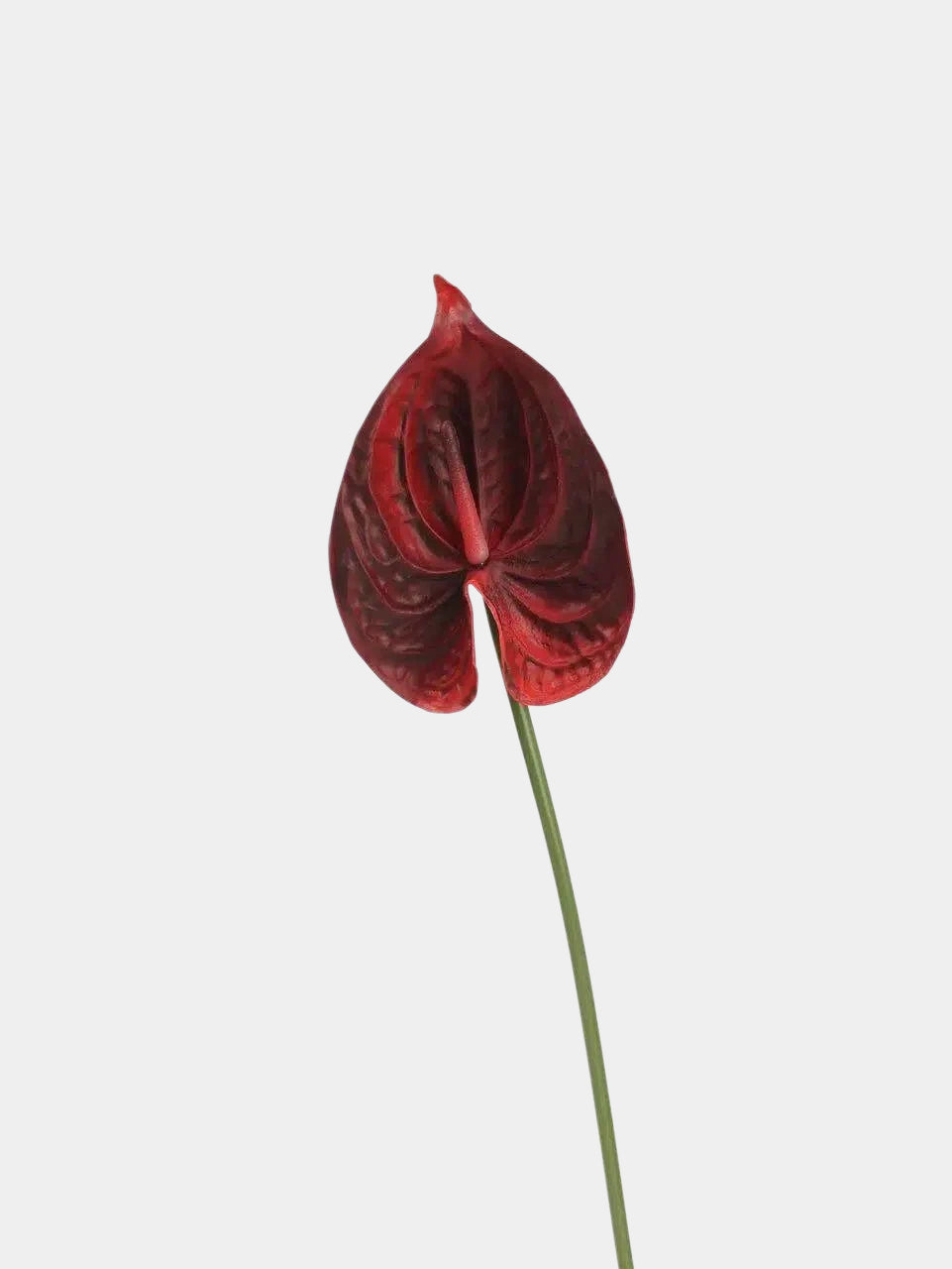 Real Touch Artificial Anthurium Stem – 25.5"