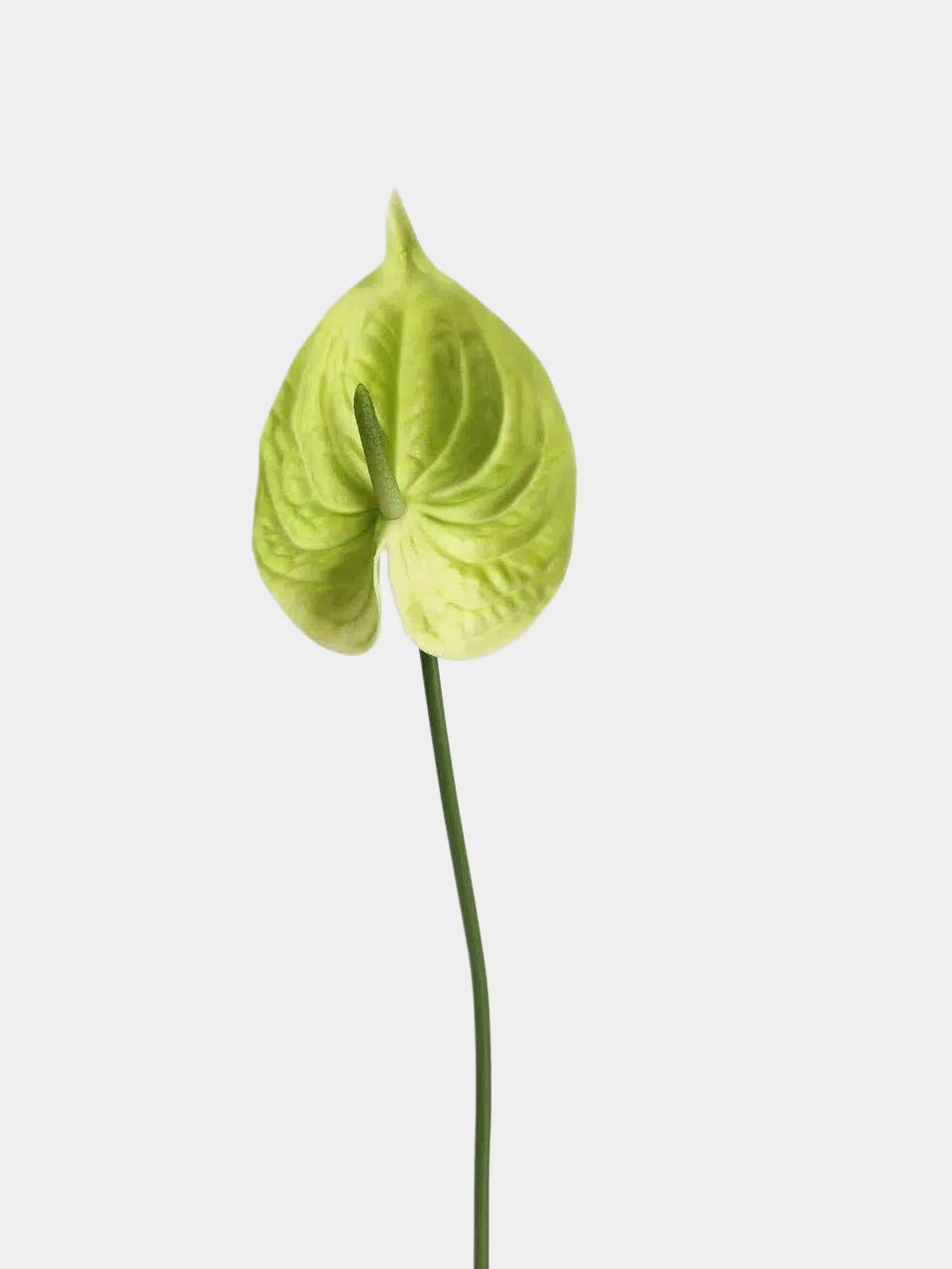 Real Touch Artificial Anthurium Stem – 25.5"