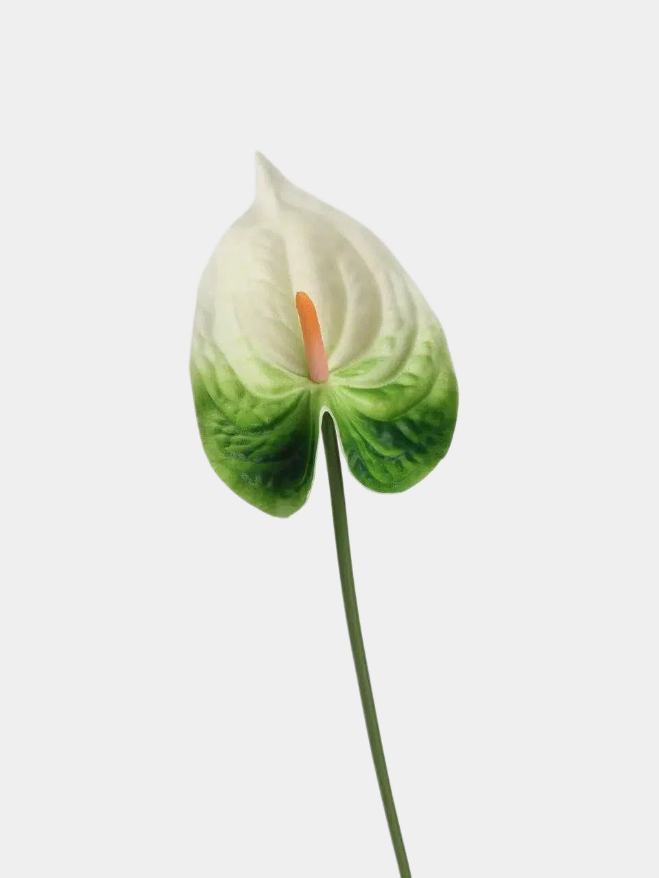 Real Touch Artificial Anthurium Stem – 25.5"