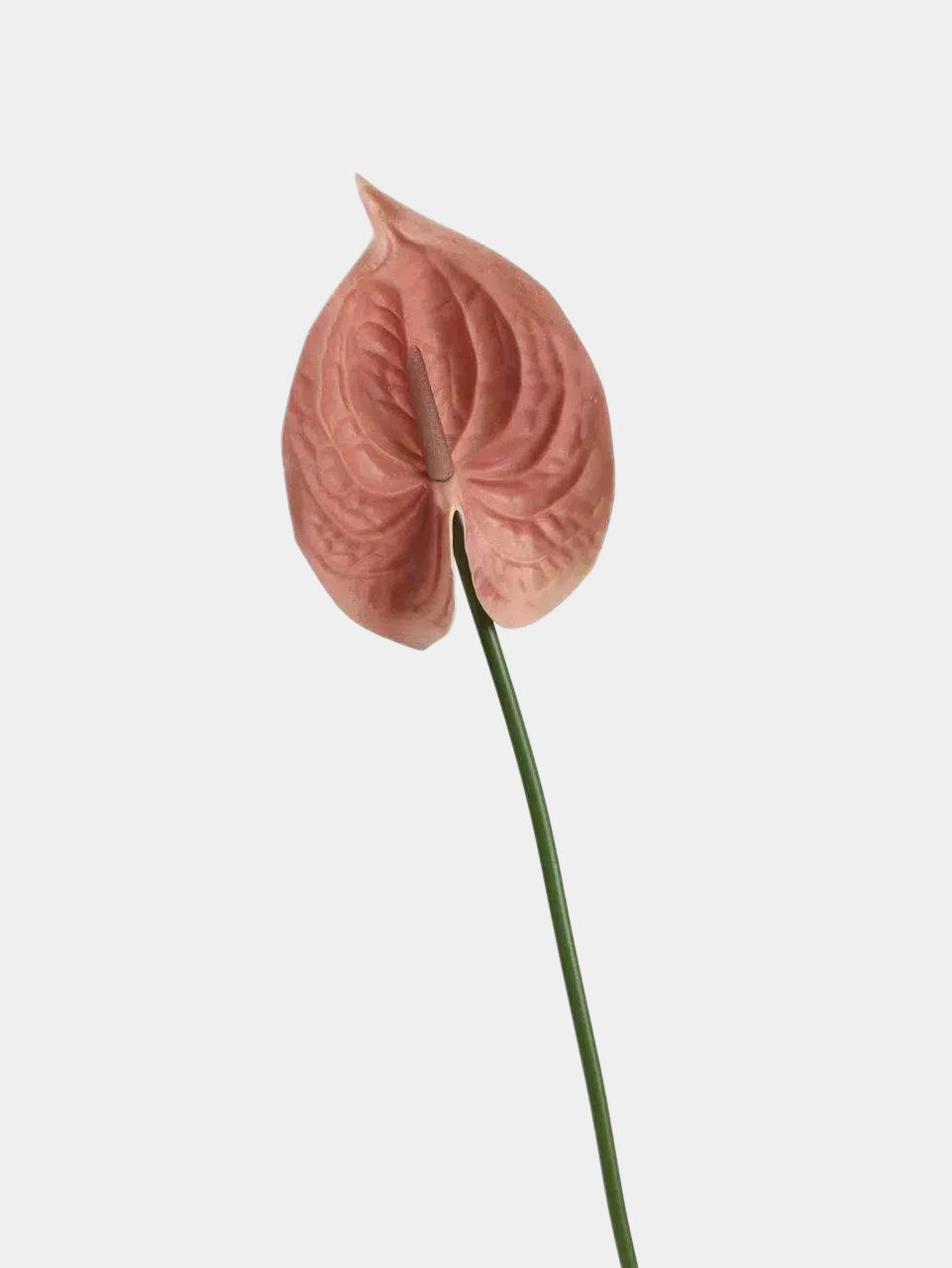 silk anthurium plant Real Touch Artificial Anthurium Stem – 25.5" – Amoria Bloom