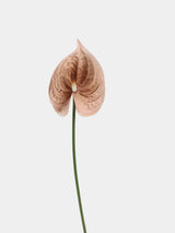 Real Touch Artificial Anthurium Stem – 25.5"